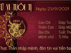 Ảnh bìa bài viết 786344