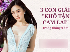 Ảnh bìa bài viết 786641