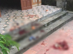 Ảnh bìa bài viết 785933