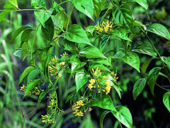 Ảnh bìa bài viết 786698