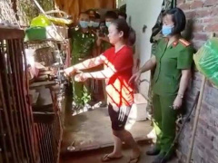 Ảnh bìa bài viết 786897