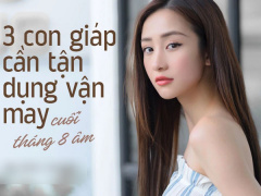 Ảnh bìa bài viết 787095