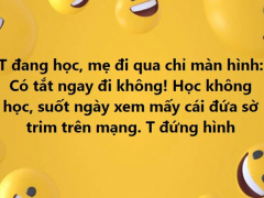 Ảnh bìa bài viết 787288