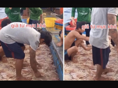 Ảnh bìa bài viết 787535