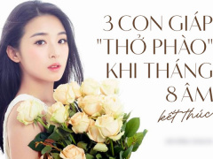 Ảnh bìa bài viết 787749
