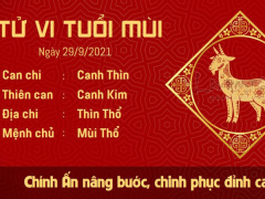Ảnh bìa bài viết 787612