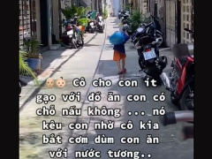 Ảnh bìa bài viết 788011