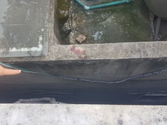 Ảnh bìa bài viết 787991
