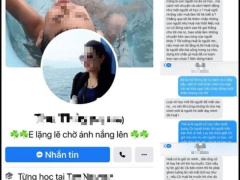 Ảnh bìa bài viết 787989