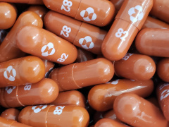 Ảnh bìa bài viết 788118