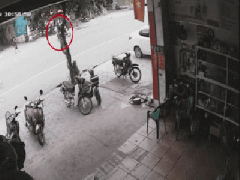 Ảnh bìa bài viết 788319