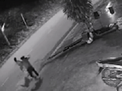 Ảnh bìa bài viết 788560