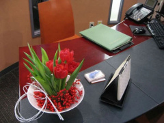 Ảnh bìa bài viết 788868