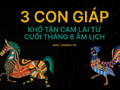 Ảnh bìa bài viết 788869