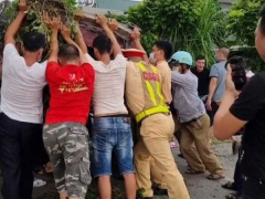 Ảnh bìa bài viết 788872