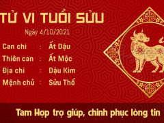 Ảnh bìa bài viết 788643