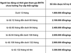 Ảnh bìa bài viết 788940