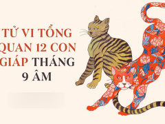 Ảnh bìa bài viết 789182