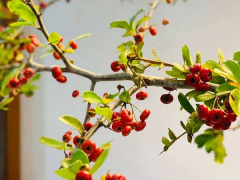 Ảnh bìa bài viết 789140