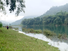 Ảnh bìa bài viết 789216