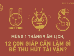 Ảnh bìa bài viết 789322