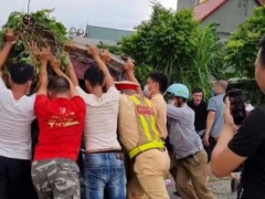 Ảnh bìa bài viết 789462