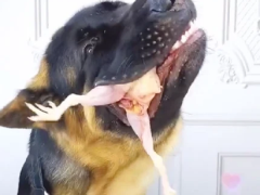 Ảnh bìa bài viết 789783