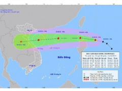 Ảnh bìa bài viết 790143