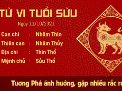 Ảnh bìa bài viết 790112