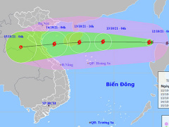 Ảnh bìa bài viết 790319