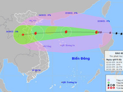 Ảnh bìa bài viết 790382