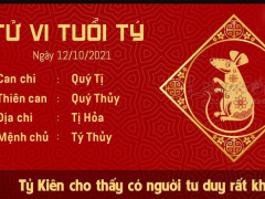 Ảnh bìa bài viết 790322