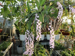 Ảnh bìa bài viết 790463