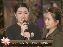 Ảnh bìa bài viết 790543