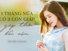 Ảnh bìa bài viết 790871