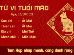 Ảnh bìa bài viết 790767