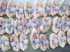 Ảnh bìa bài viết 791131