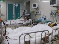Ảnh bìa bài viết 790999
