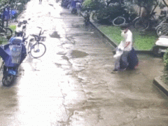 Ảnh bìa bài viết 791306