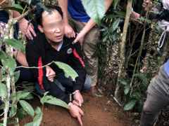 Ảnh bìa bài viết 791204