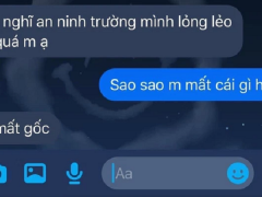 Ảnh bìa bài viết 791436
