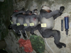 Ảnh bìa bài viết 791676