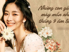 Ảnh bìa bài viết 791816