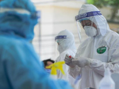 Ảnh bìa bài viết 791832