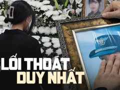 Ảnh bìa bài viết 791966
