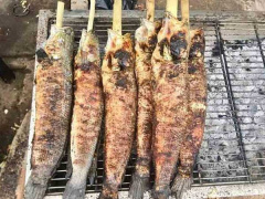 Ảnh bìa bài viết 792347