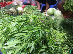 Ảnh bìa bài viết 792583