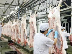Ảnh bìa bài viết 792600