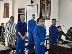 Ảnh bìa bài viết 793084