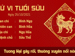 Ảnh bìa bài viết 792897